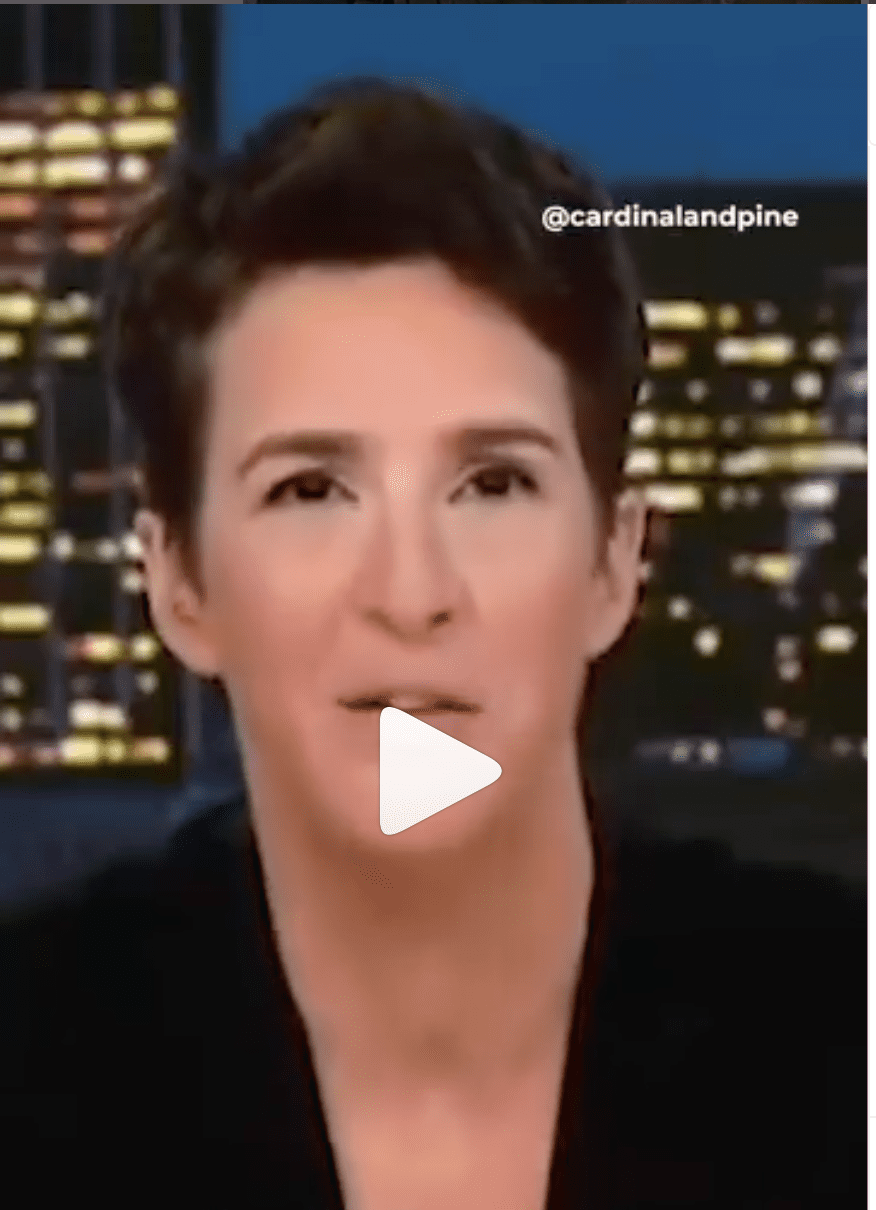 ELECTION - Cardinal & Pine